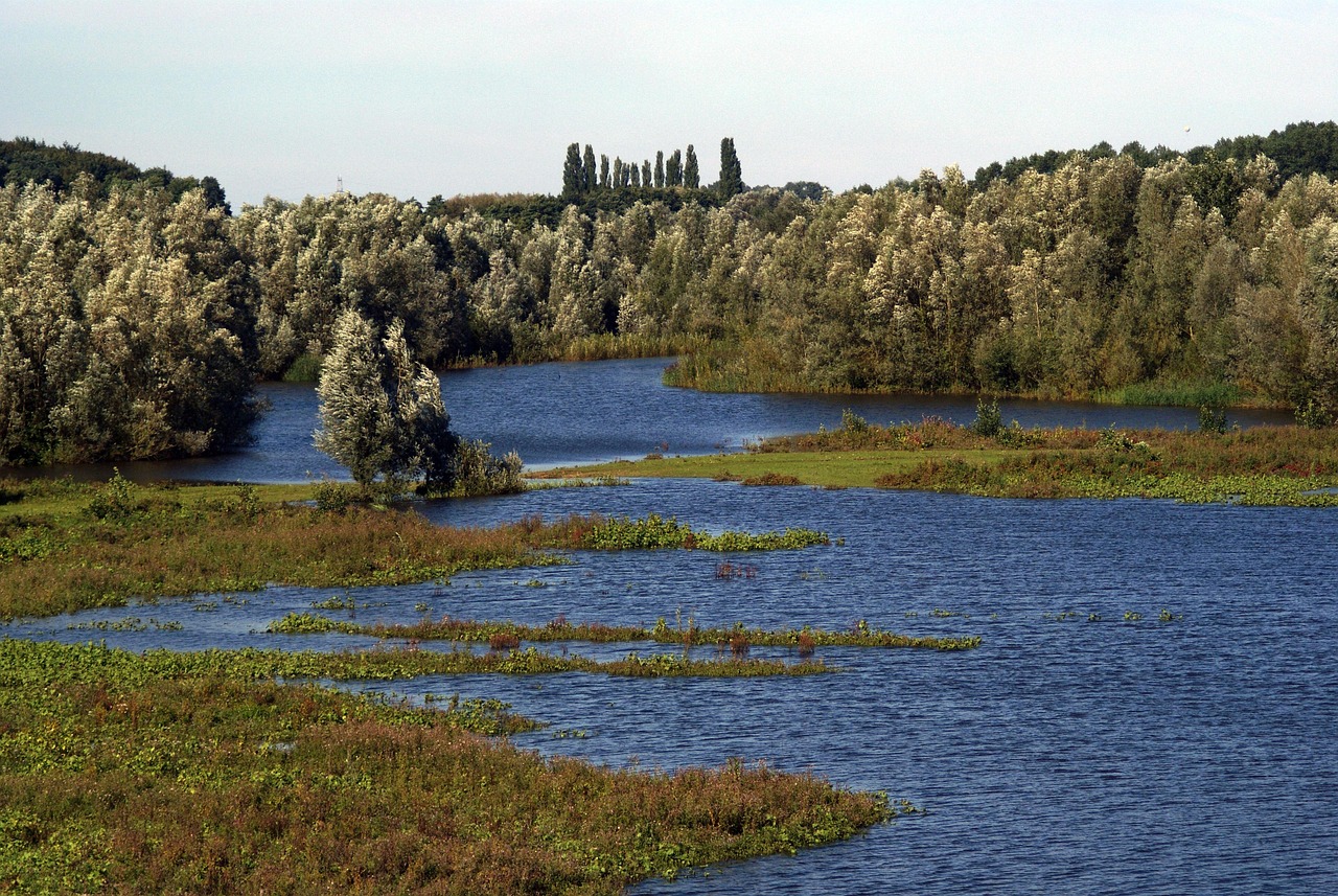Überflutete Aue, © ejab, pixabay