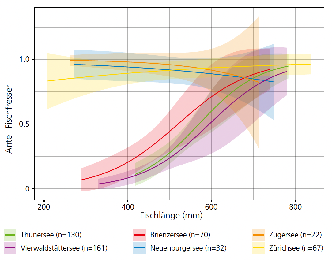 Die Grafik zeigt anhand von Kurven für sechs Schweizer Seen bei wie viel Prozent der Seeforellen Fische im Magen gefunden in Abhängigkeit ihrer Grösse.
