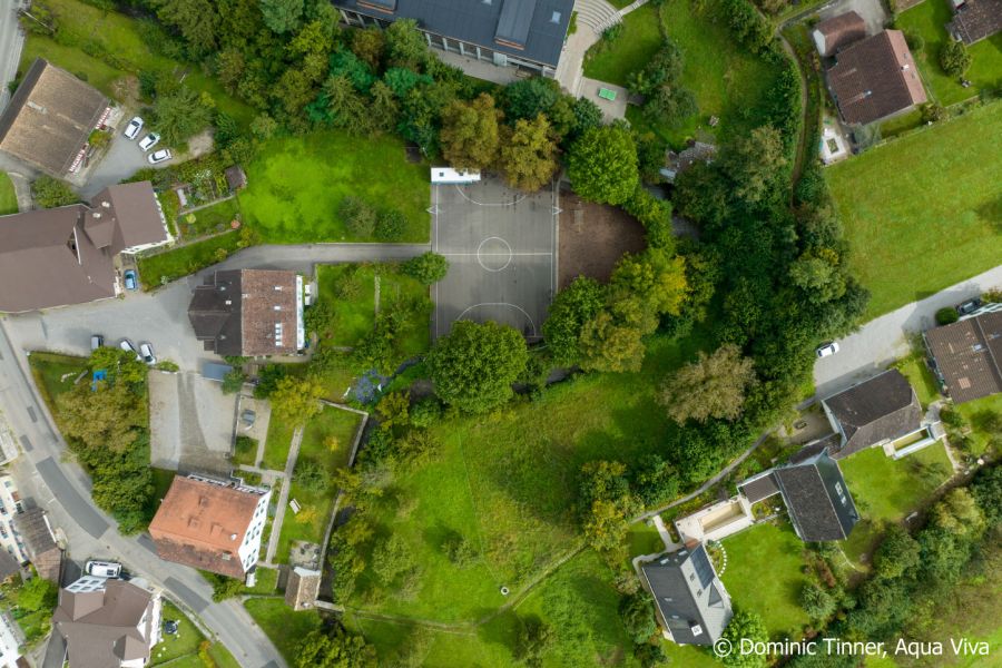 Lufbild des Haselbachs, der an der Schule Maschwanden vorbeifliesst